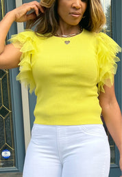 Tulle Knit Top