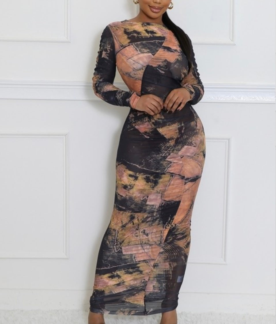 Sheer Sophistication Dress