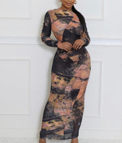 Sheer Sophistication Dress