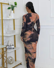 Sheer Sophistication Dress